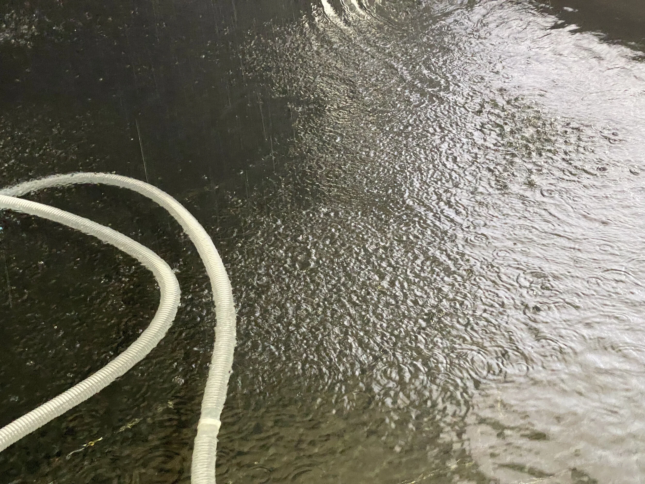 The Watering Hole — photo 2 at Made Kulture, Houston